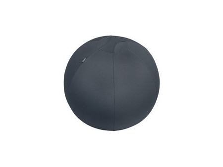 LEITZ Ballon d'assise Ergo Cosy, diamètre: 650 mm, gris