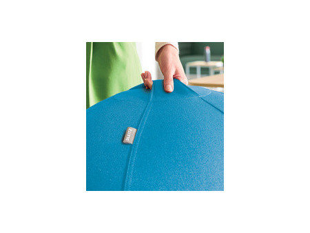 LEITZ Ballon d'assise Ergo Cosy, diamètre: 650 mm, gris