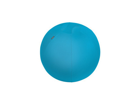 LEITZ Ballon d'assise Ergo Cosy, diamètre: 650 mm, gris