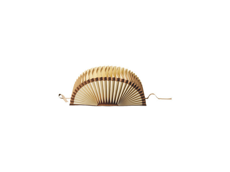 LEITZ trieur éventail, A4, 1-31, 31 compartiments, marron