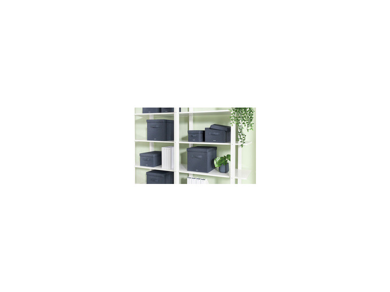LEITZ Boîte de rangement en tissu, taille S, set de 2, gris