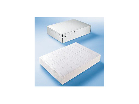 HERMA Etiquette en film DATAPRINT, 105 x 148,5 mm, blanc