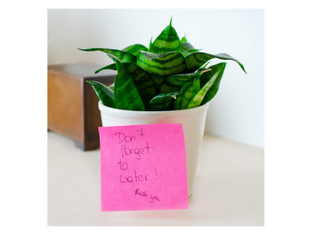 Kores Bloc-note cube, 75 x 75 mm, couleurs fluo, 5 couleurs