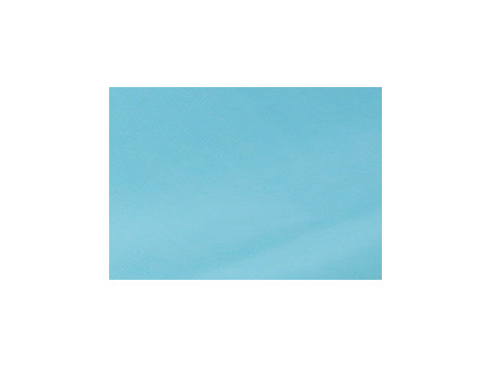 Clairefontaine Papier cadeau 'kraft', vert bourgeon