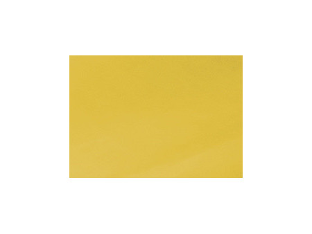Clairefontaine Papier cadeau 'kraft', vert bourgeon