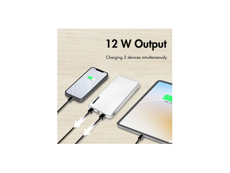 LogiLink Powerbank, 10.000 mAh, 2 USB-A, noir