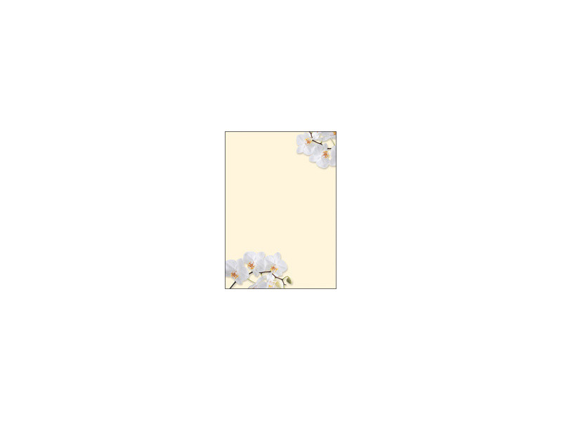 sigel Papier à motif, A4, 90 g/m2, motif 'Sunflower'