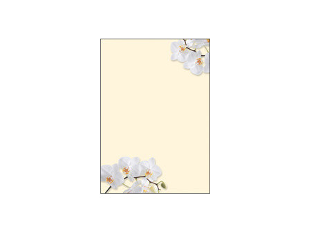 sigel Papier à motif, A4, 90 g/m2, motif 'Spring Flowers'