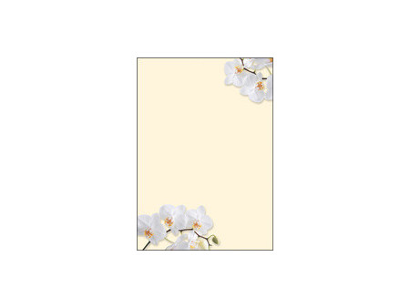 sigel Papier à motif, A4, 90 g/m2, motif 'Spring Flowers'