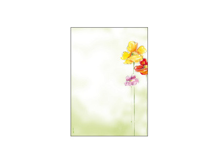 sigel Papier à motif, A4, 90 g/m2, motif 'Spring Flowers'