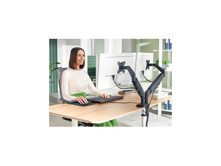 LEITZ Bras double pour écrans Ergo Dual, gris foncé