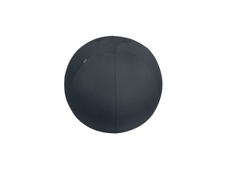 LEITZ Ballon d'assise Ergo Active, diamètre: 650 mm, gris