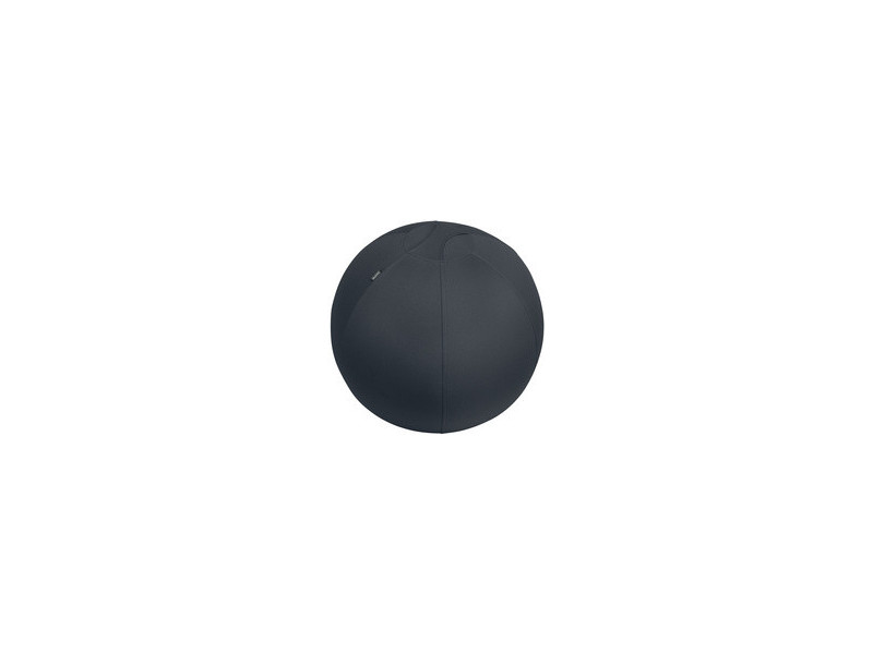 LEITZ Ballon d'assise Ergo Active, diamètre: 650 mm, gris