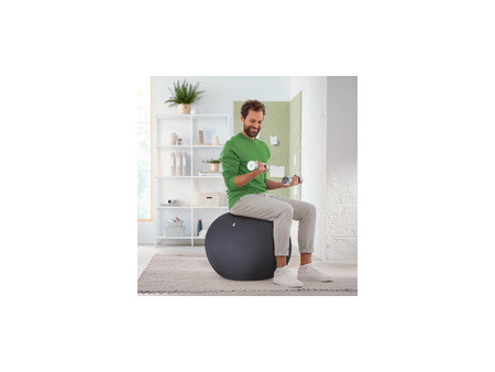 LEITZ Ballon d'assise Ergo Active, diamètre: 650 mm, gris