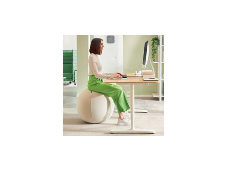 LEITZ Ballon d'assise Ergo Active, diamètre: 650 mm, gris
