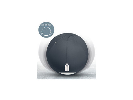 LEITZ Ballon d'assise Ergo Active, diamètre: 650 mm, gris