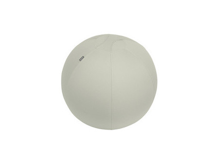 LEITZ Ballon d'assise Ergo Active, diamètre: 650 mm, gris