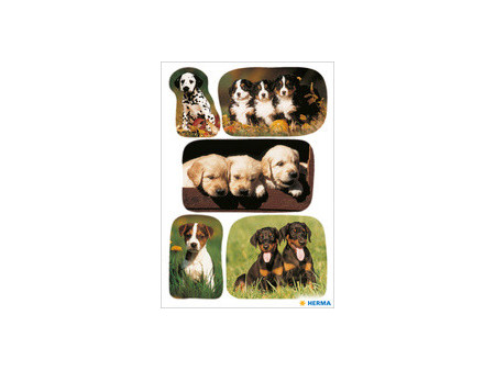 HERMA Autocollants DECOR 'Photos de chiots'