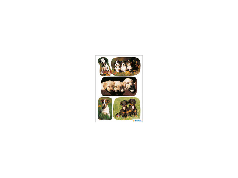 HERMA Autocollants DECOR 'Photos de chiots'