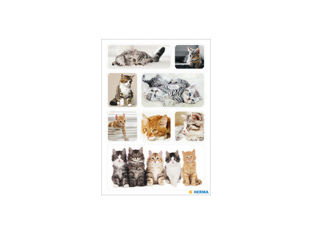 HERMA Autocollants DECOR 'Chatons photogéniques'