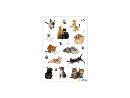 HERMA Autocollants DECOR 'Chatons photogéniques'