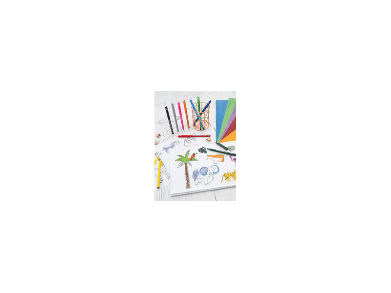 EBERHARD FABER Feutre Animal COLORI, étui en carton de 12