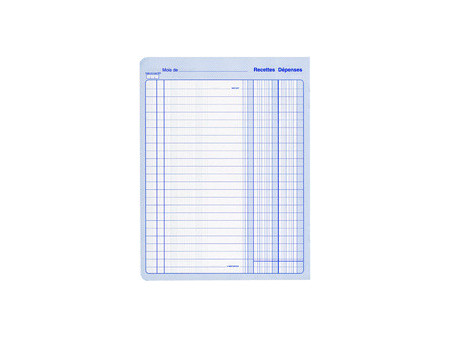 ELVE Piqûre 'Recettes/Dépenses', 80 pages, 297 x 210 mm