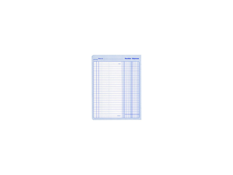 ELVE Piqûre 'Recettes/Dépenses', 80 pages, 297 x 210 mm
