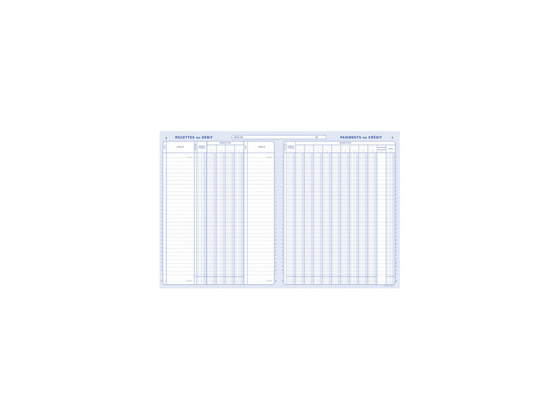ELVE Piqûre comptable Caisse ou Banque, 320 x 240 mm