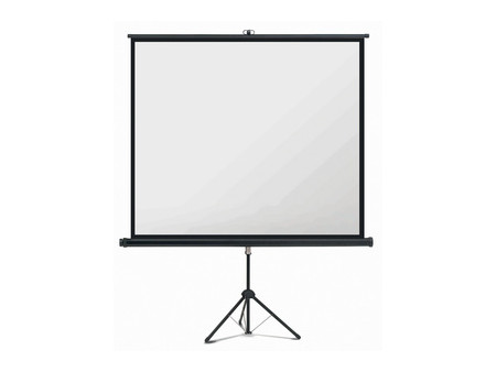 magnetoplan Écran sur pied, (L)2.440 x (H)1.830 mm, 4:3