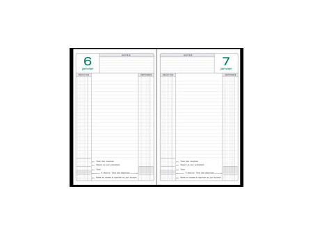 EXACOMPTA Agenda Perpétuel Caisse 210 x 148 mm, assorti