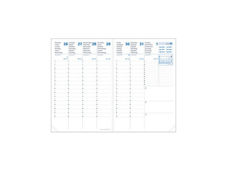 QUO VADIS Agenda PLANNING 21 SD, 2026/2027, 16 mois,noisette