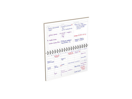 LECAS Agenda DESK PLANNER, perpétuel, 240 x 140 mm