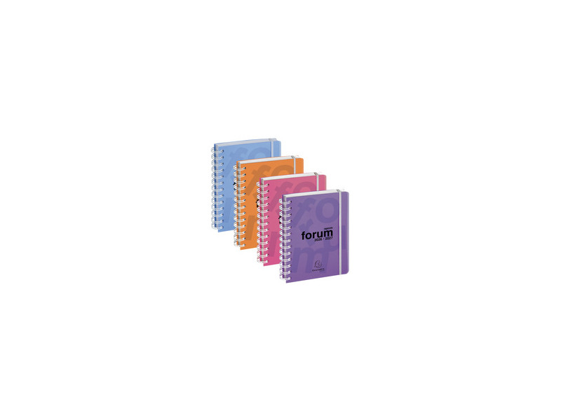 EXACOMPTA Agenda scolaire Forum Linicolor, 2026/2027,assorti