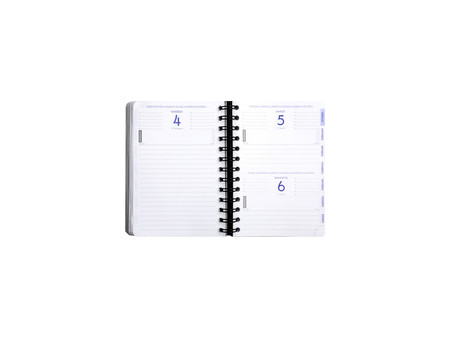 EXACOMPTA Agenda scolaire Forum Linicolor, 2026/2027,assorti