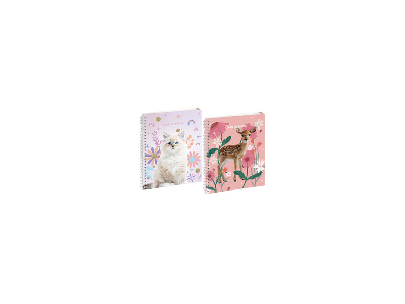 EXACOMPTA Cahier de textes Lovely, assorti