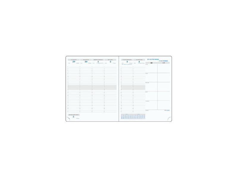 EXACOMPTA Agenda semainier SAS 22 Non Stop, 2026/27, assorti