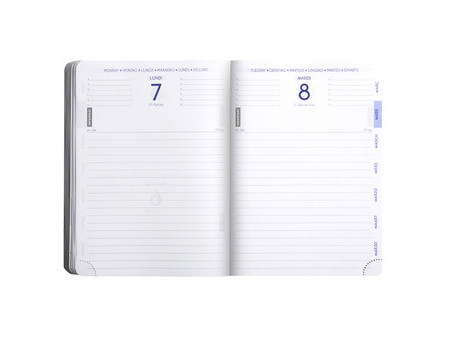 EXACOMPTA Agenda scolaire FORUM Grav'chic, 2026/2027,assorti