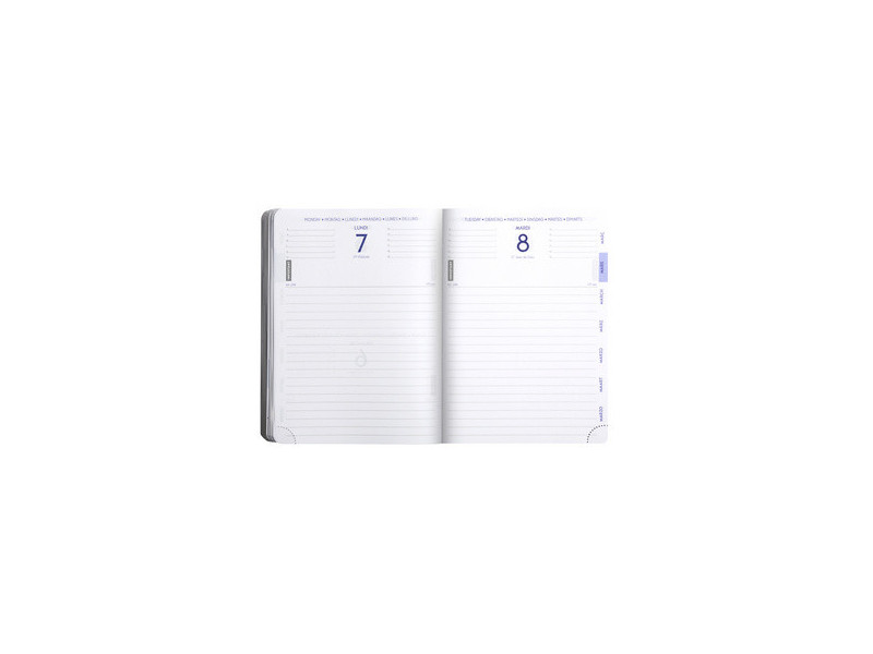 EXACOMPTA Agenda scolaire FORUM Grav'chic, 2026/2027,assorti