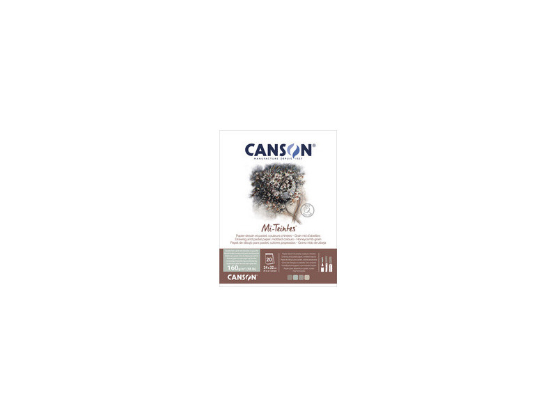 CANSON Papier beaux-arts Mi-Teintes, en bloc, 320 x 410 mm