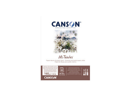 CANSON Papier beaux-arts Mi-Teintes, en bloc, 320 x 410 mm