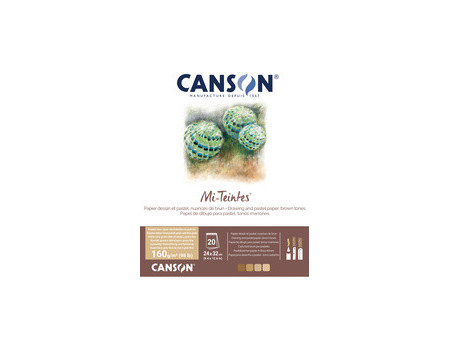 CANSON Papier beaux-arts Mi-Teintes, en bloc, 320 x 410 mm