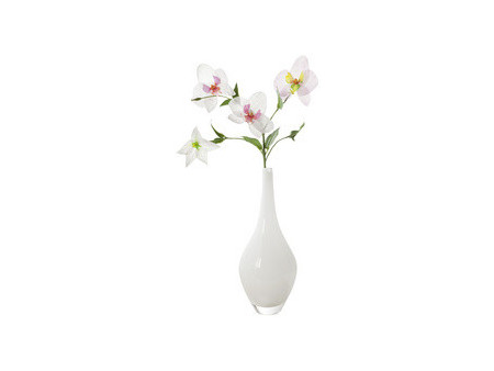 folia Papier transparent, A4, 115 g/m2, blanc