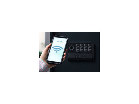 pavo Coffre à clés Smart-WiFi, pour 50 clés, gris