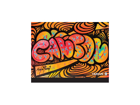 CANSON Carton à dessin Edition artiste, 260 x 330 mm