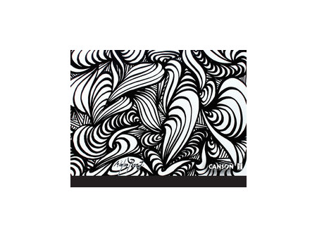 CANSON Carton à dessin Edition artiste, 260 x 330 mm