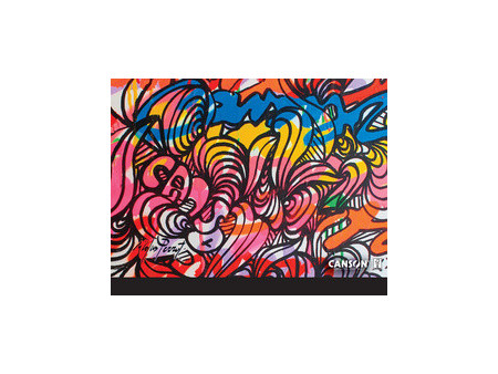 CANSON Carton à dessin Edition artiste, 260 x 330 mm