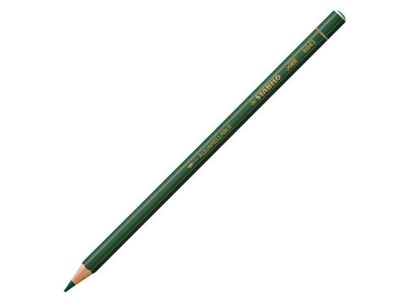 STABILO Crayon de couleur/crayon graphite ALL, vert