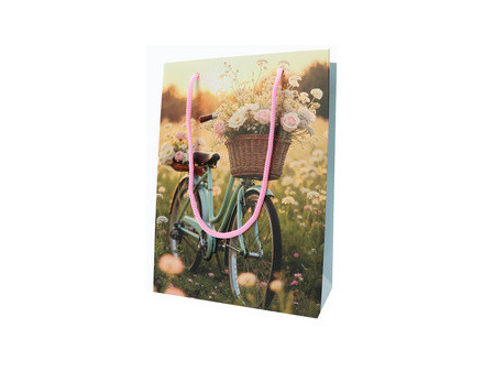 SUSY CARD Sac cadeau 'Bicycle'
