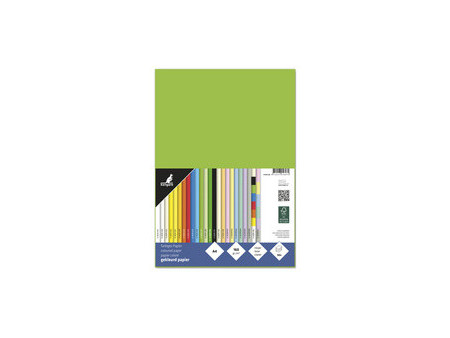 kangaro Papier multifonction, A4, 160 g/m2, vert clair